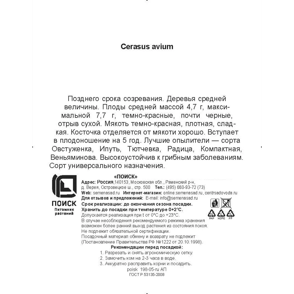 Фото 3 Черешня Ревна сетке h180 см Фото 3 Черешня Ревна сетке h180 см