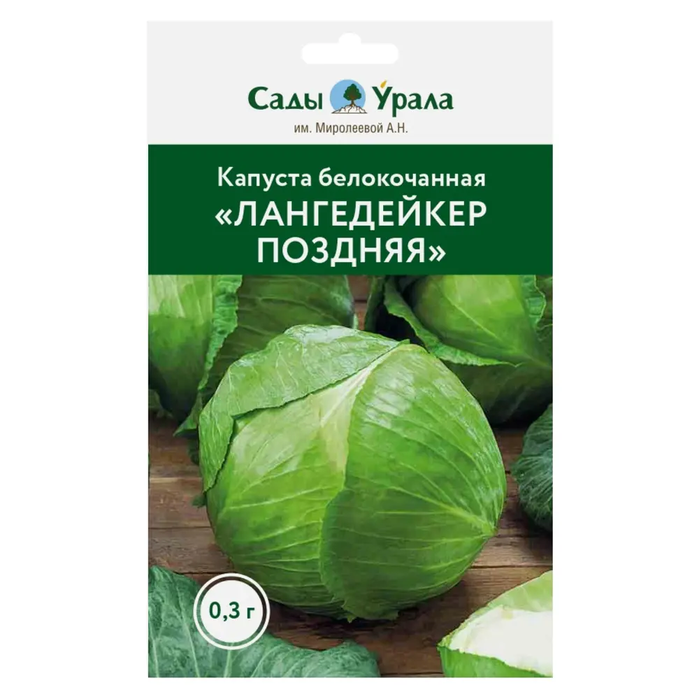 Фото Семена овощей капуста белокочанная Лангедейкер поздняя