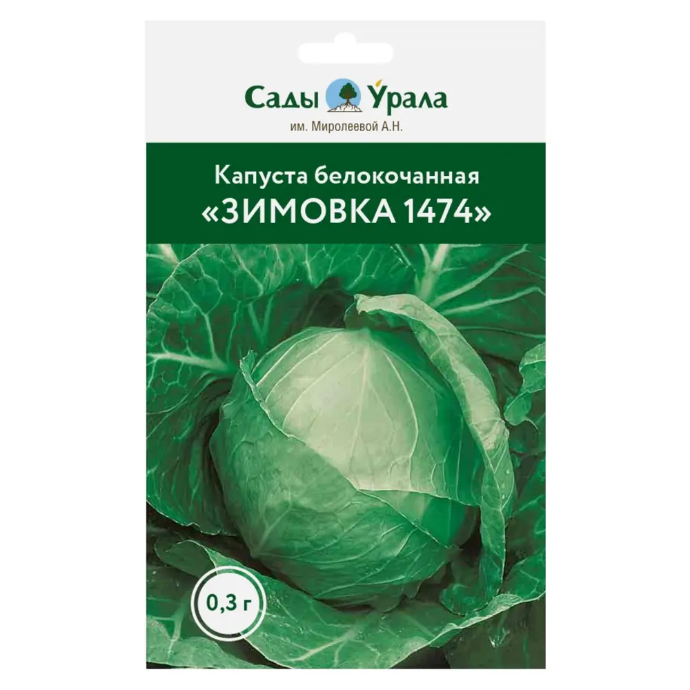 Фото Семена овощей капуста белокочанная Зимовка 1474 Фото Семена овощей капуста белокочанная Зимовка 1474