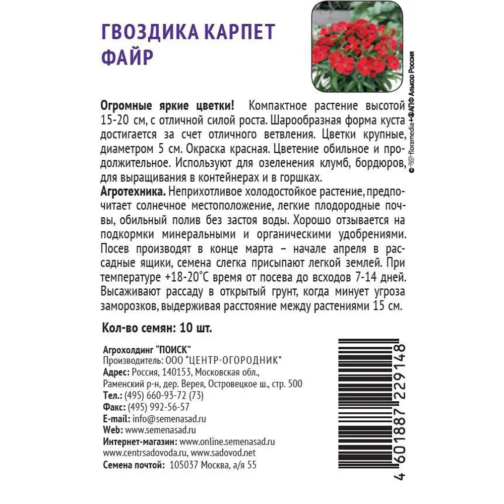Фото 2 Семена цветов Поиск гвоздика Карпет Файр 10 шт. Фото 2 Семена цветов Поиск гвоздика Карпет Файр 10 шт.