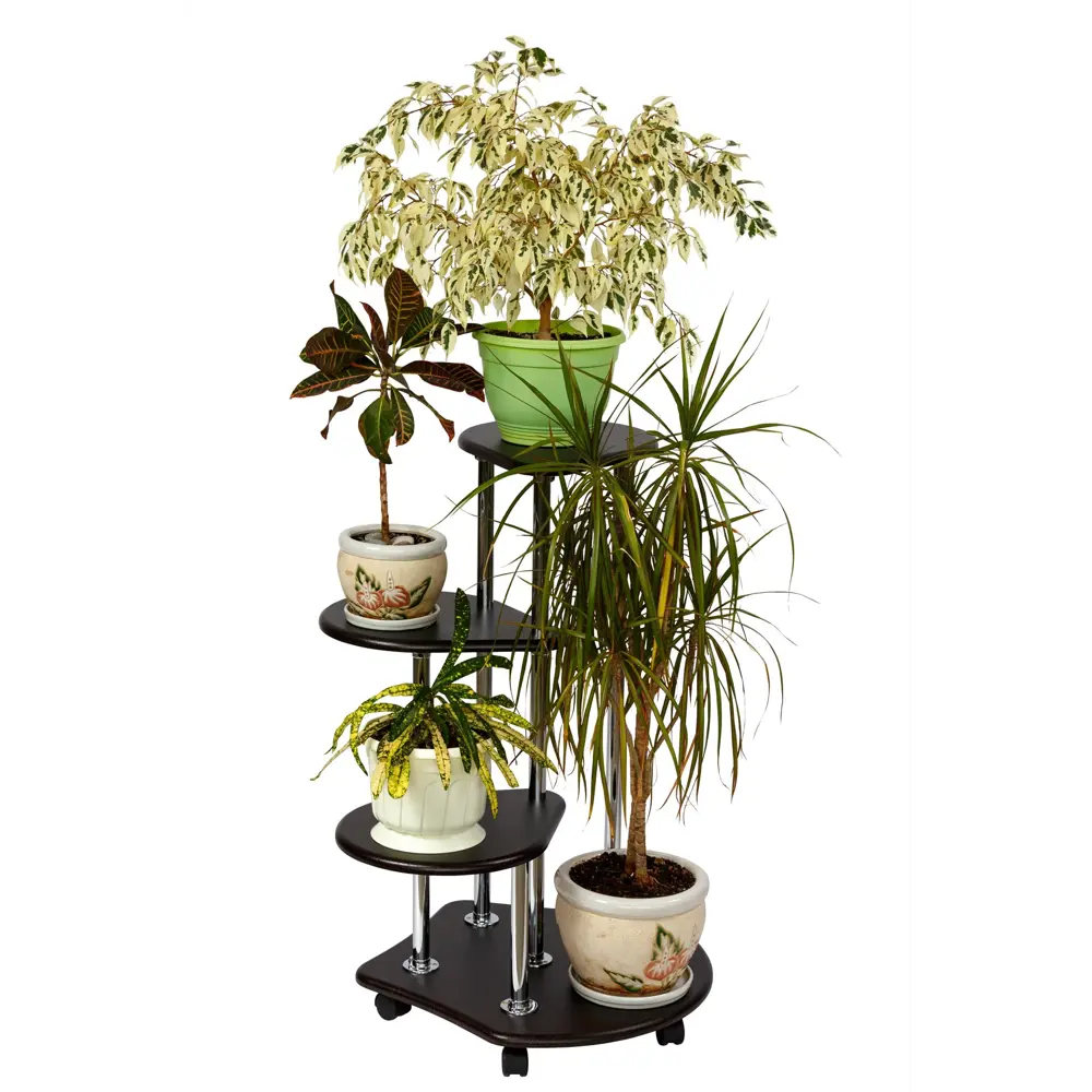 Фото 3 Подставка Калифорния мебель Троечка венге 65х85х65 см Фото 3 Подставка Калифорния мебель Троечка венге 65х85х65 см