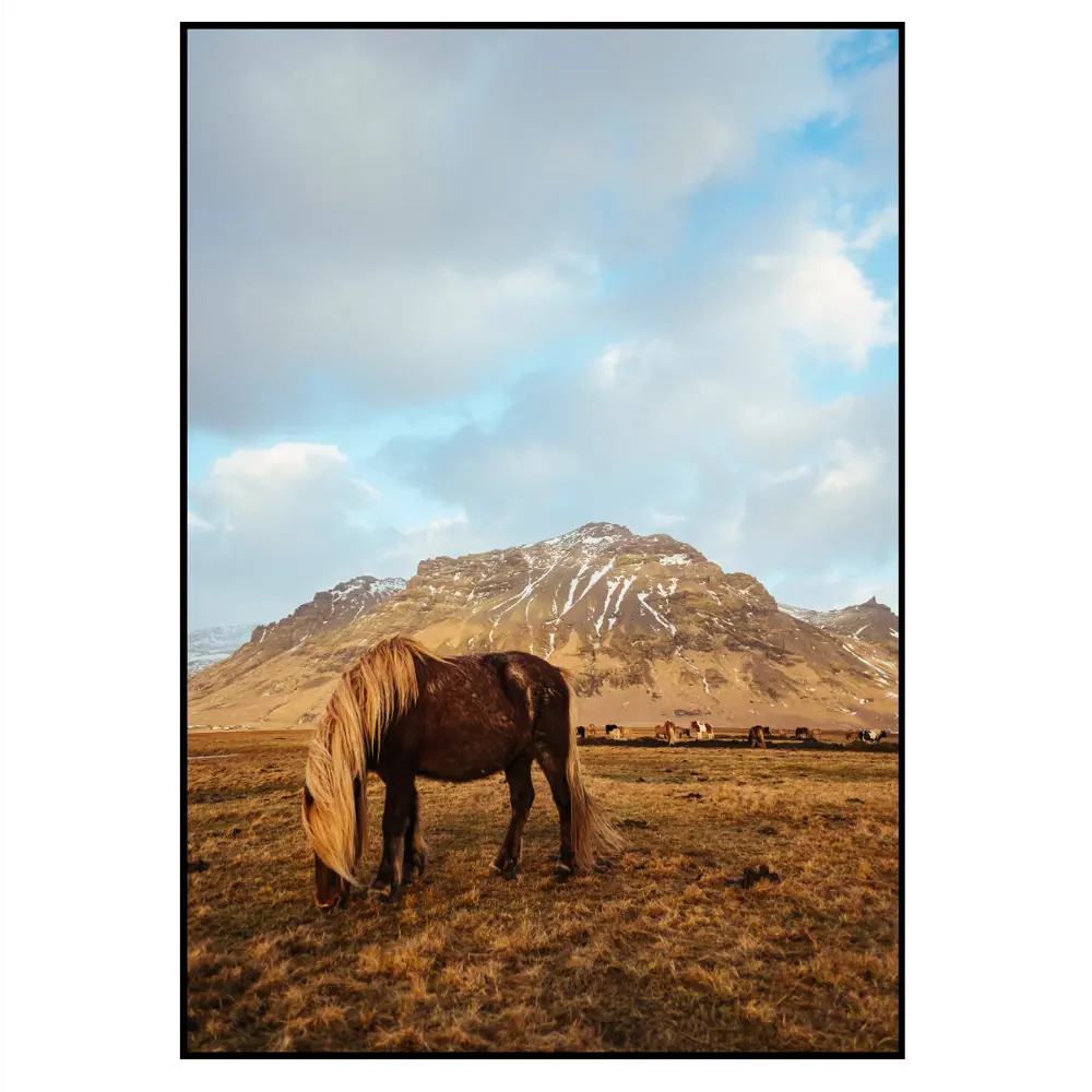 Фото 2 Постер 28 картин "Посущийся конь" 40x50 см в подарочном тубусе без рамы Фото 2 Постер 28 картин "Посущийся конь" 40x50 см в подарочном тубусе без рамы