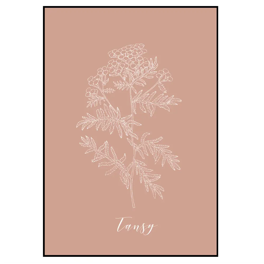 Фото 2 Постер 28 картин Пижма Рисунок мелом 40x50 см в подарочном тубусе без рамы Фото 2 Постер 28 картин Пижма Рисунок мелом 40x50 см в подарочном тубусе без рамы