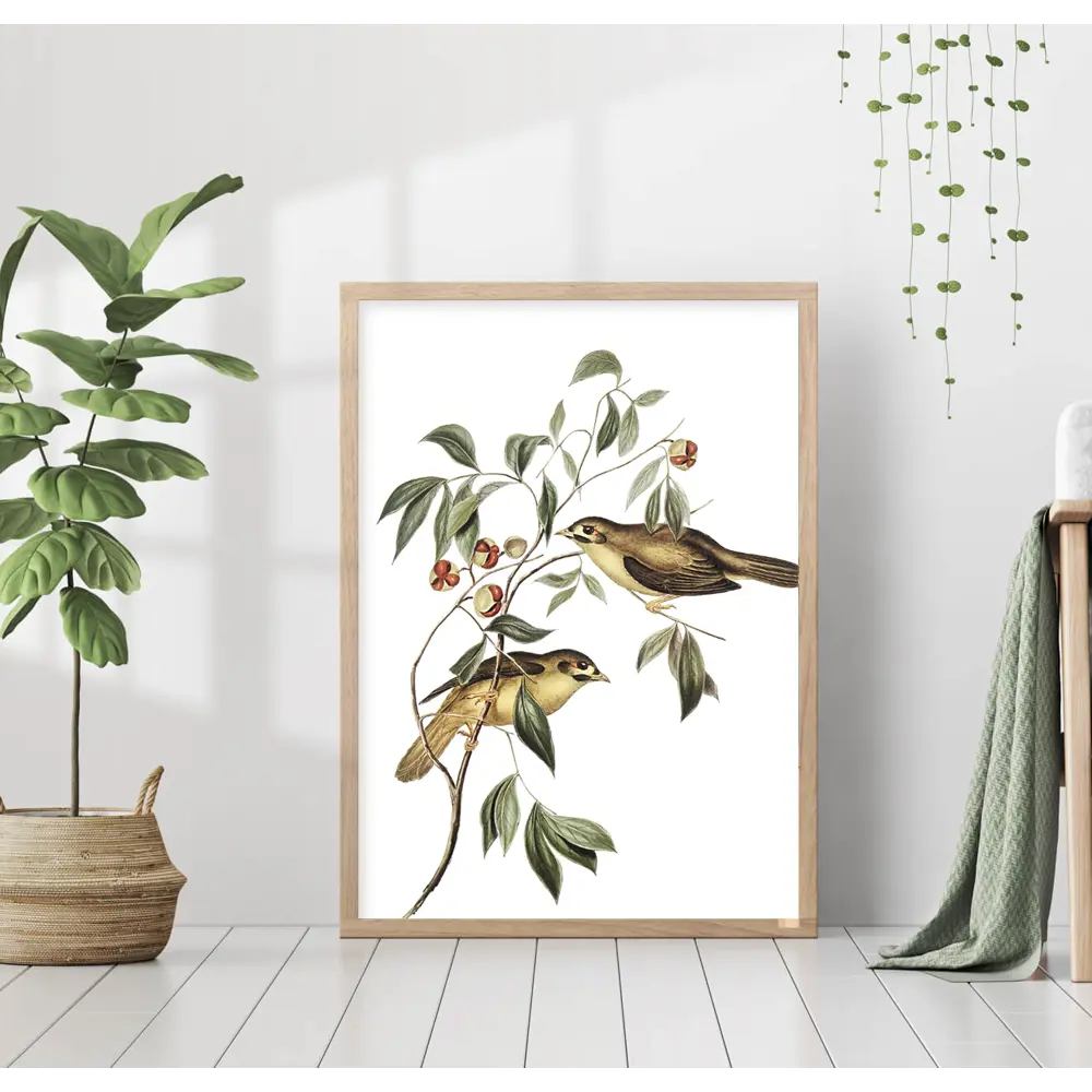 Фото Постер 28 картин "Птички на дереве" 40x50 см в подарочном тубусе без рамы Фото Постер 28 картин "Птички на дереве" 40x50 см в подарочном тубусе без рамы