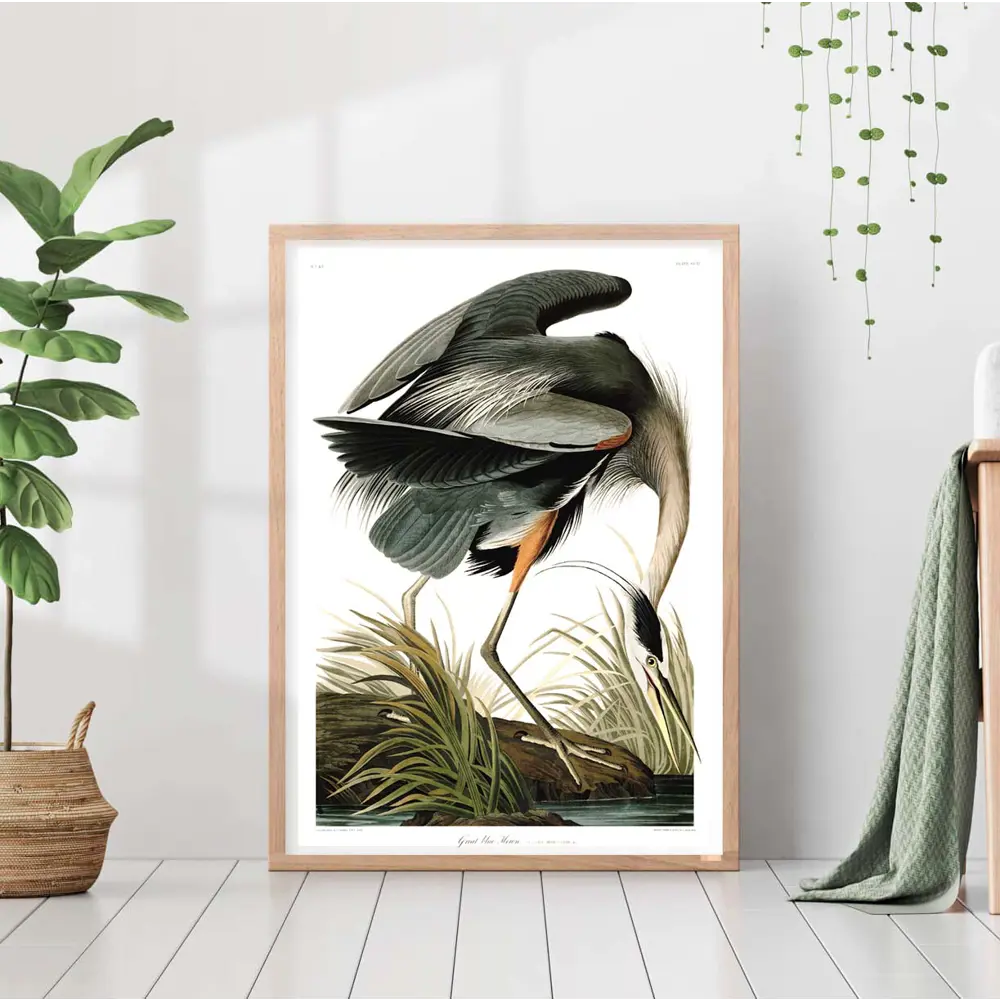 Фото Постер 28 картин "Птицы голубая цапля" 40x50 см в подарочном тубусе без рамы