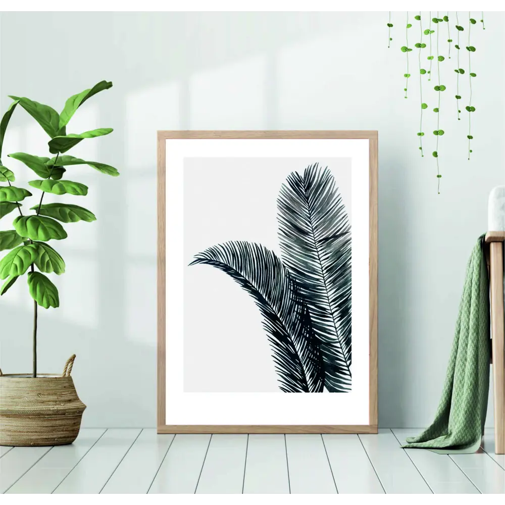Фото Постер 28 картин Пальма Черно-белые листья 50x70 см в подарочном тубусе без рамы Фото Постер 28 картин Пальма Черно-белые листья 50x70 см в подарочном тубусе без рамы