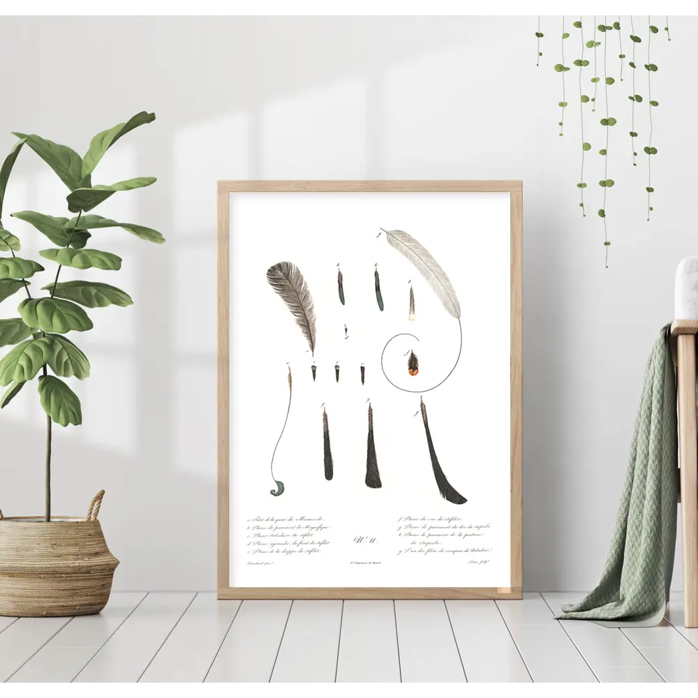 Фото Постер 28 картин "Перья птиц" 50x70 см в подарочном тубусе без рамы