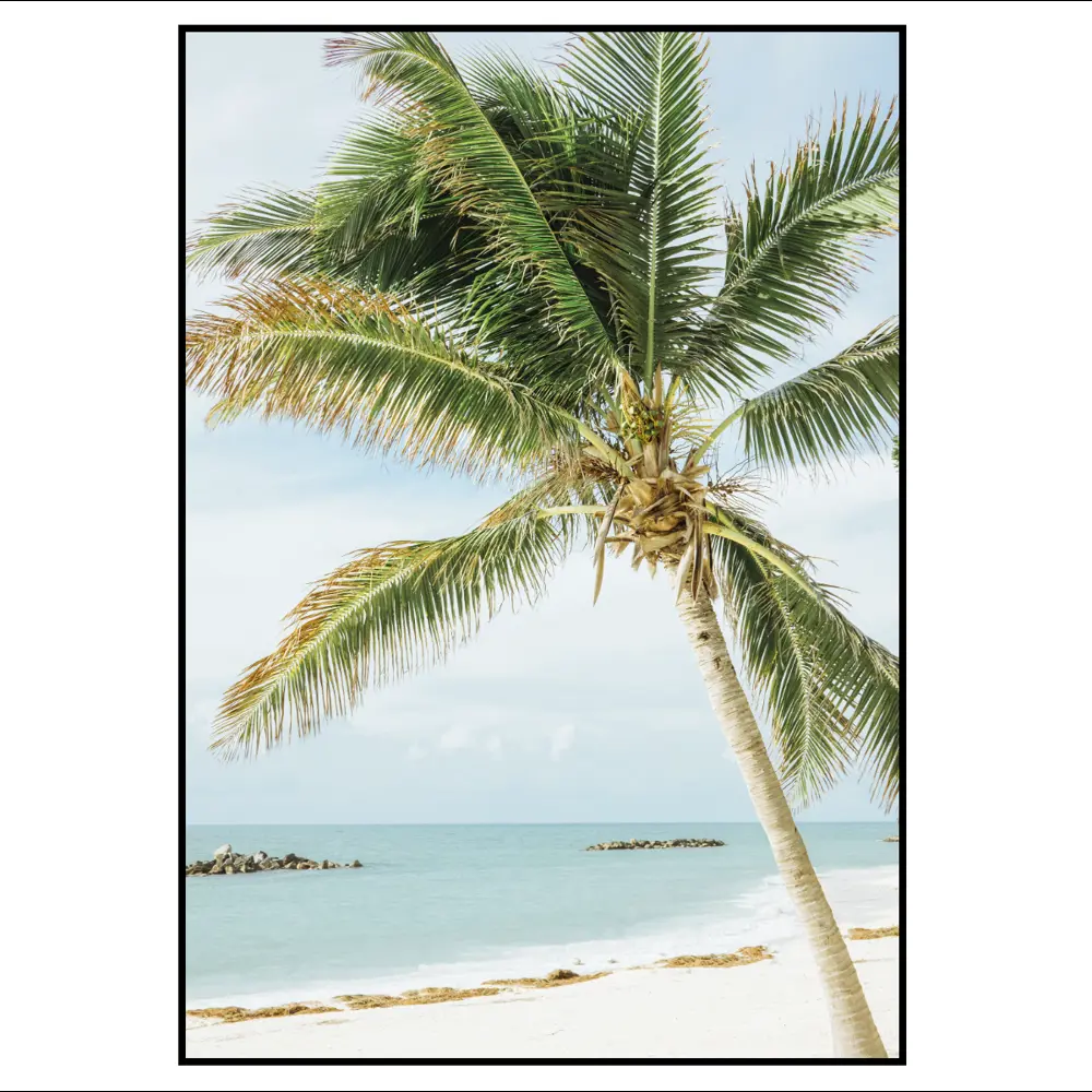 Фото 2 Постер 28 картин "Пальма на пляже" 50x70 см в подарочном тубусе без рамы Фото 2 Постер 28 картин "Пальма на пляже" 50x70 см в подарочном тубусе без рамы