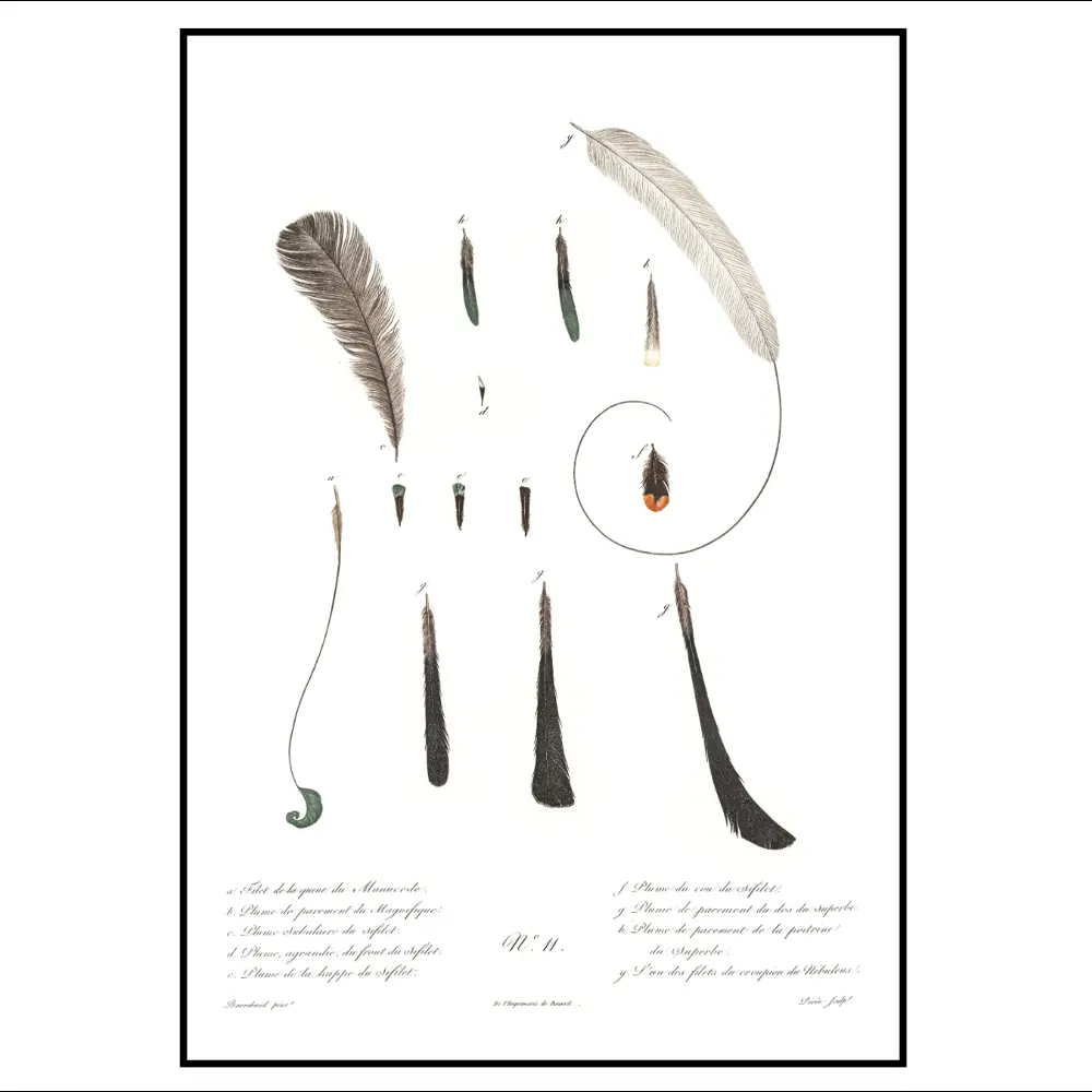 Фото 2 Постер 28 картин "Перья птиц" 50x70 см в подарочном тубусе без рамы Фото 2 Постер 28 картин "Перья птиц" 50x70 см в подарочном тубусе без рамы