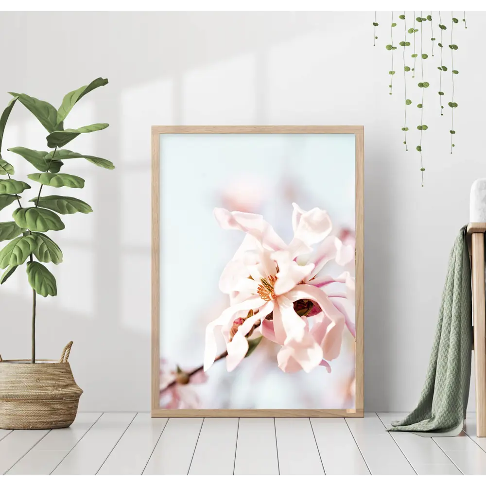 Фото Постер 28 картин "Распустившийся цветок магнолии" 50x70 см в подарочном тубусе без рамы Фото Постер 28 картин "Распустившийся цветок магнолии" 50x70 см в подарочном тубусе без рамы