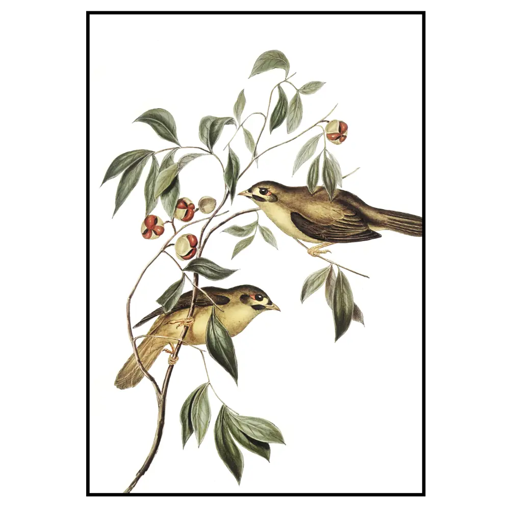 Фото 2 Постер 28 картин "Птички на дереве" 50x70 см в подарочном тубусе без рамы Фото 2 Постер 28 картин "Птички на дереве" 50x70 см в подарочном тубусе без рамы