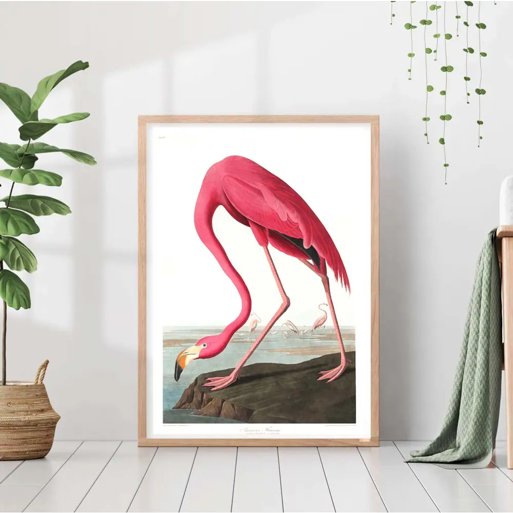 Фото Постер 28 картин "Птицы розовый фламинго" 50x70 см в подарочном тубусе без рамы Фото Постер 28 картин "Птицы розовый фламинго" 50x70 см в подарочном тубусе без рамы