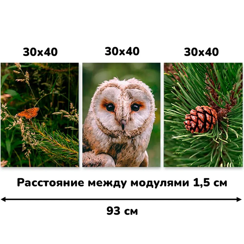 Фото 4 Картина без обрамления Lori триптих "Живая природа" 93x40 см Фото 4 Картина без обрамления Lori триптих "Живая природа" 93x40 см