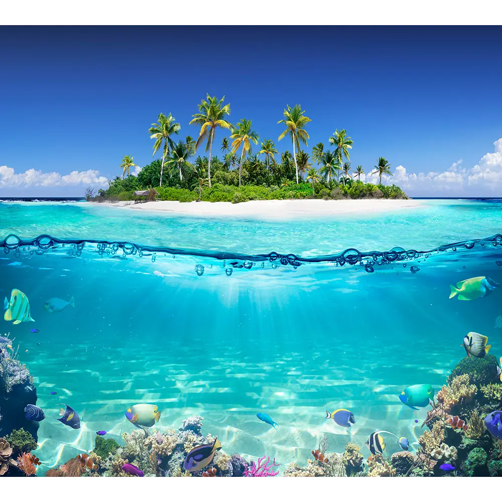 Фото 2 Фотообои флизелиновые Barton Wall 300х270 см Природа Море CHN01603