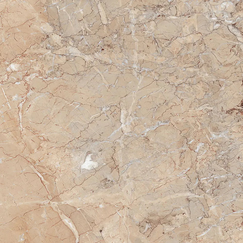 Фото 9 Керамогранит Laparet Brecia Antic Brown x9999287006 60x60см 1.44 м² цвет бежевый, цена за упаковку Фото 9 Керамогранит Laparet Brecia Antic Brown x9999287006 60x60см 1.44 м² цвет бежевый, цена за упаковку