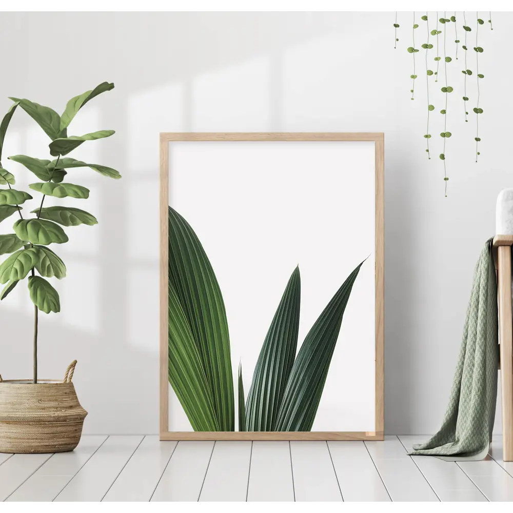 Фото Постер 28 картин "Сансевиерия листья" 50x40 см без рамы Фото Постер 28 картин "Сансевиерия листья" 50x40 см без рамы