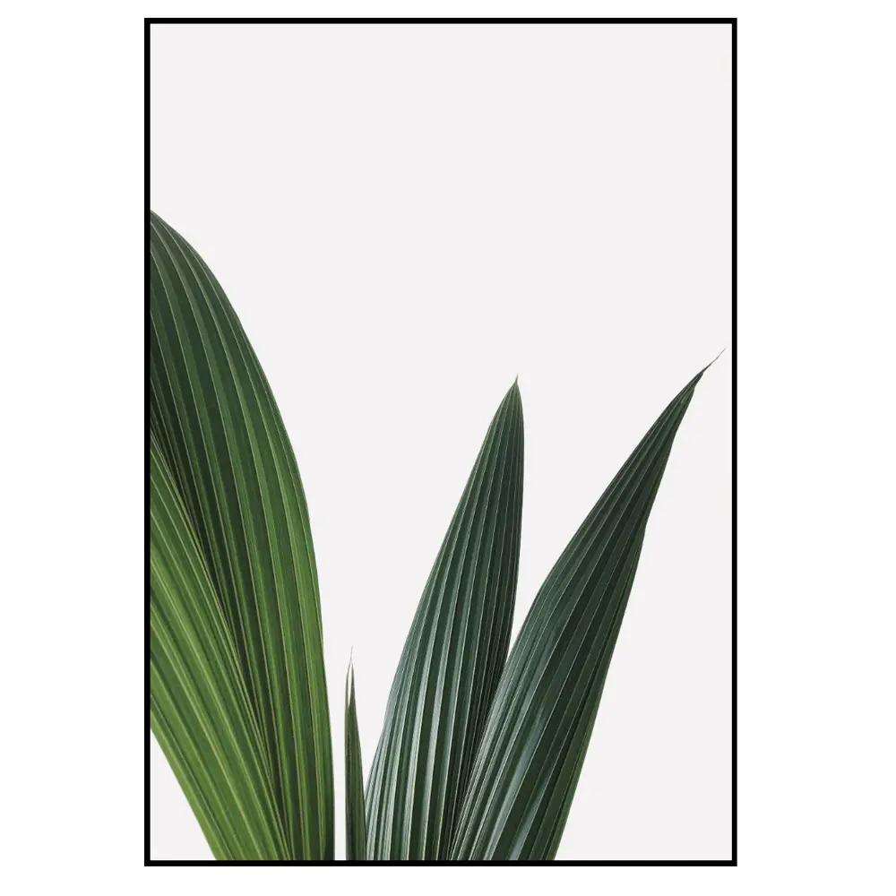 Фото 2 Постер 28 картин "Сансевиерия листья" 50x40 см без рамы Фото 2 Постер 28 картин "Сансевиерия листья" 50x40 см без рамы