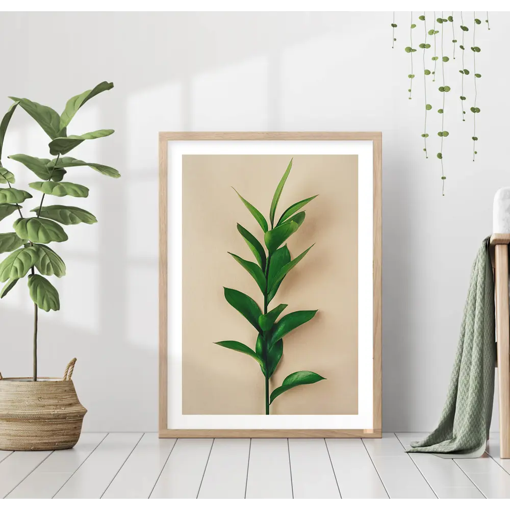 Фото Постер 28 картин "Растение Рускус" 70x50 см без рамы Фото Постер 28 картин "Растение Рускус" 70x50 см без рамы