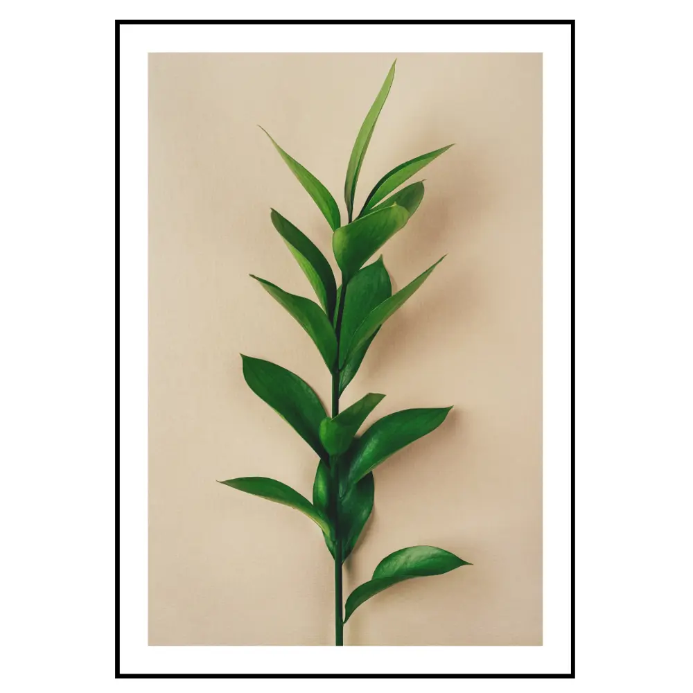 Фото 2 Постер 28 картин "Растение Рускус" 70x50 см без рамы Фото 2 Постер 28 картин "Растение Рускус" 70x50 см без рамы