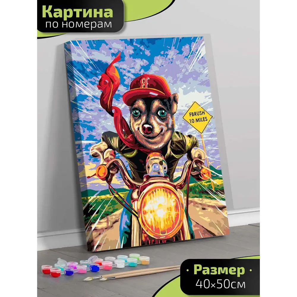 Фото Картина по номерам Fbrush Мотоциклист 40x50 см Фото Картина по номерам Fbrush Мотоциклист 40x50 см
