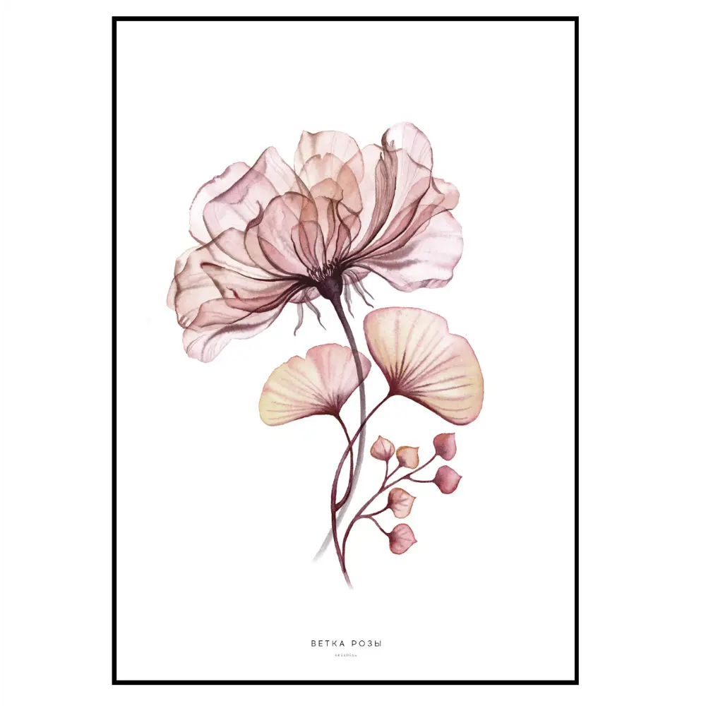 Фото 2 Постер 28 картин "Элегантный цветок" 40x50 см в подарочном тубусе без рамы Фото 2 Постер 28 картин "Элегантный цветок" 40x50 см в подарочном тубусе без рамы