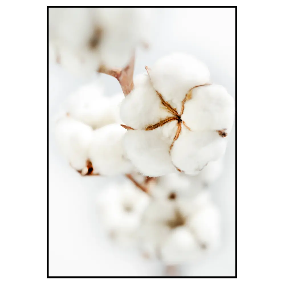 Фото 2 Постер 28 картин "Хлопок. Сухие цветы" 40x50 см в подарочном тубусе без рамы Фото 2 Постер 28 картин "Хлопок. Сухие цветы" 40x50 см в подарочном тубусе без рамы