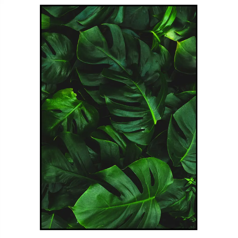 Фото 2 Постер 28 картин Тропики Монстера 50x70 см в подарочном тубусе без рамы Фото 2 Постер 28 картин Тропики Монстера 50x70 см в подарочном тубусе без рамы