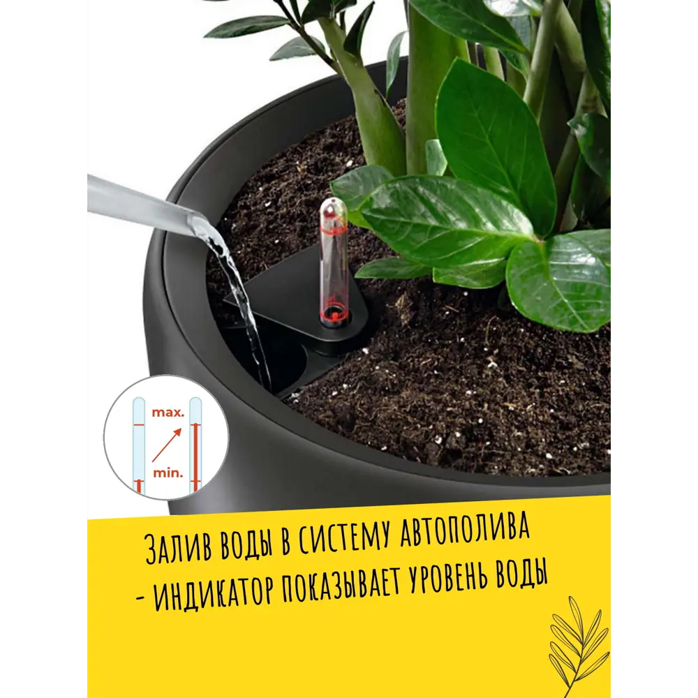 Фото 4 Кашпо настольное с автополивом Lechuza Classico Color 18 13263 5 л Фото 4 Кашпо настольное с автополивом Lechuza Classico Color 18 13263 5 л