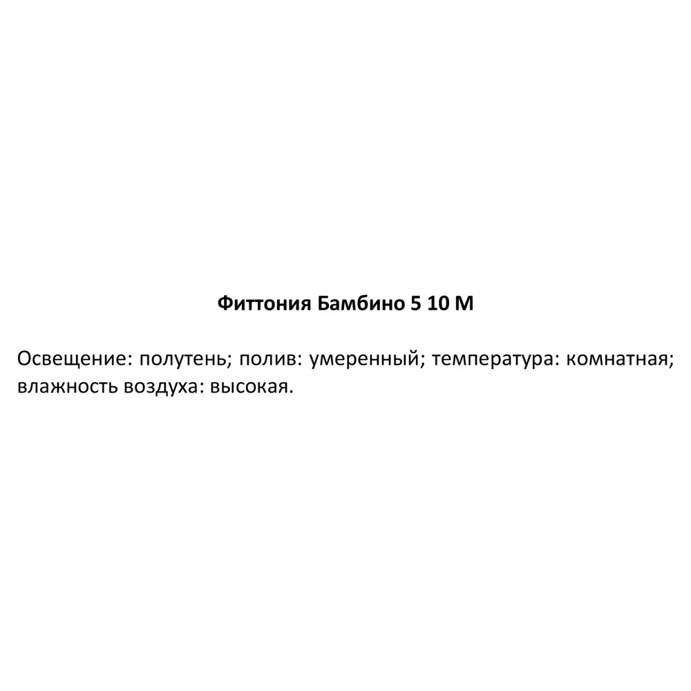 Фото 7 Декоративно-лиственное растение Фиттония Бамбино ø5 h7-10 см Фото 7 Декоративно-лиственное растение Фиттония Бамбино ø5 h7-10 см