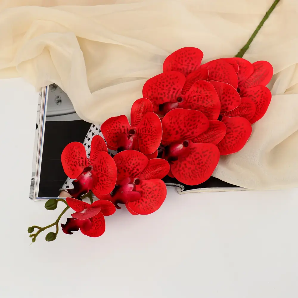 Фото Цветы искусственные Орхидея фаленопсис бархатистая 10x90 см, красный Фото Цветы искусственные Орхидея фаленопсис бархатистая 10x90 см, красный