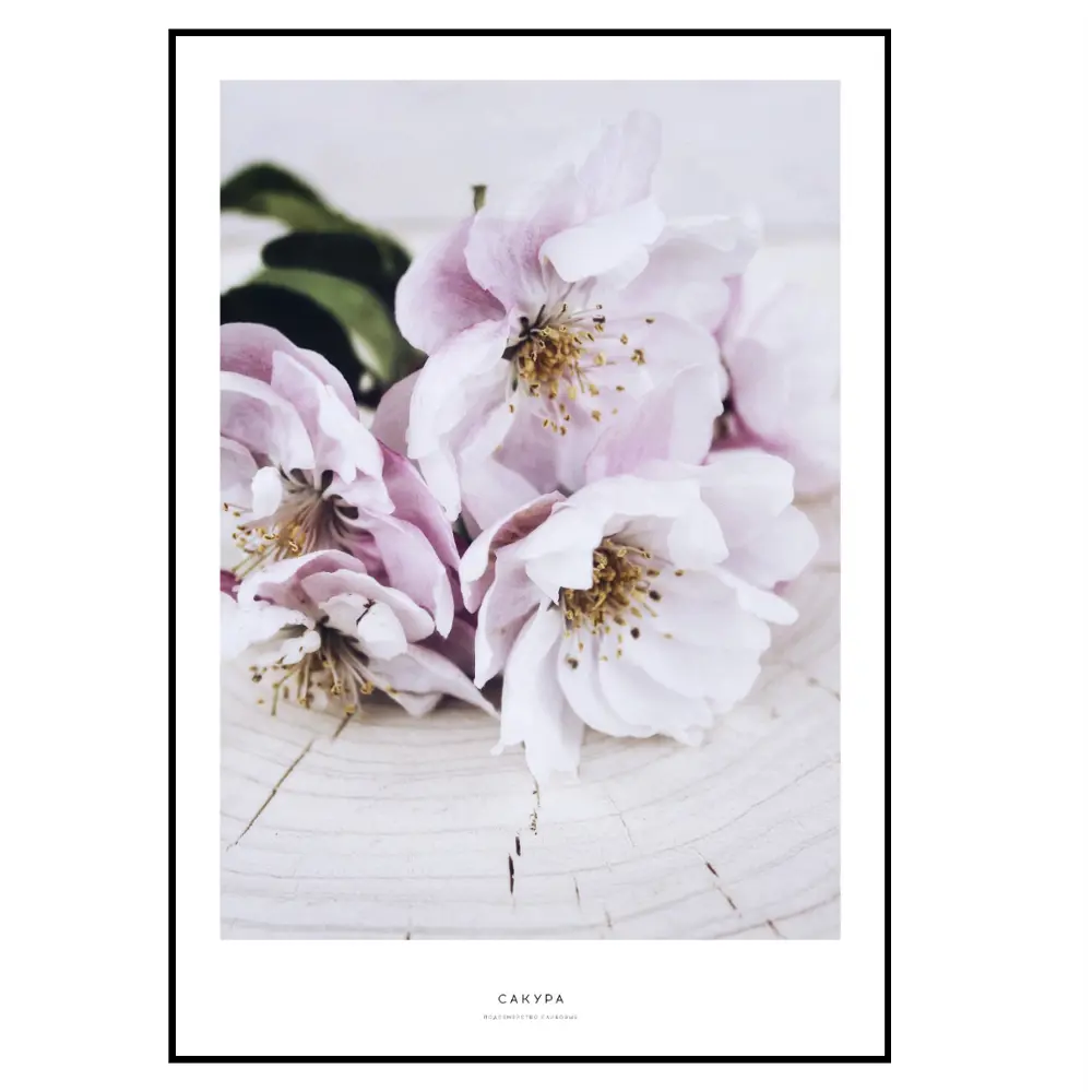Фото 2 Постер 28 картин "Цветы вишни" 50x40 см в подарочном тубусе без рамы Фото 2 Постер 28 картин "Цветы вишни" 50x40 см в подарочном тубусе без рамы