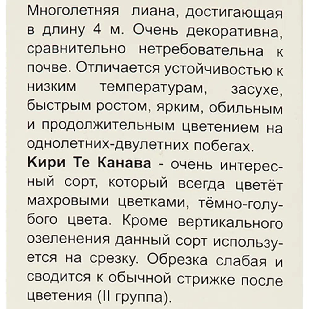Фото 5 Клематис крупноцветковый Кири Те Канава h200 см Фото 5 Клематис крупноцветковый Кири Те Канава h200 см