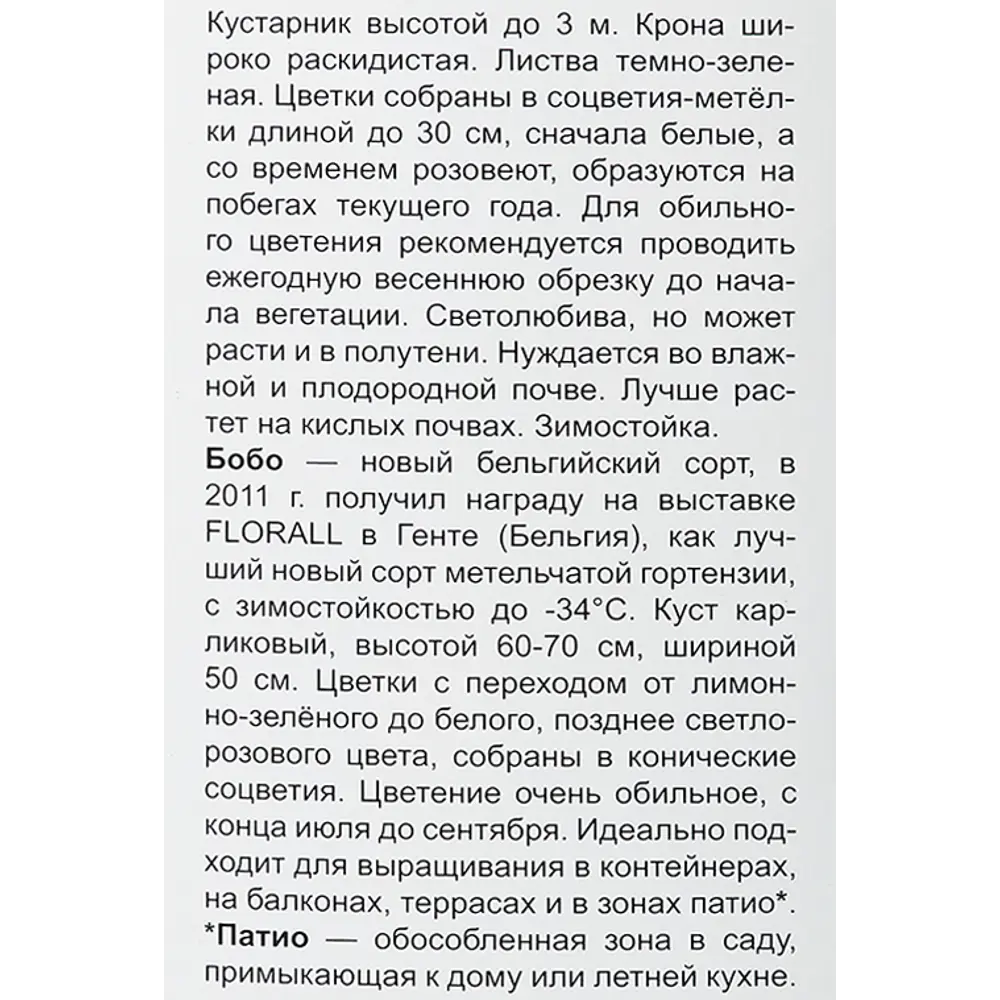 Фото 4 Гортензия метельчатая Бобо h100 см Фото 4 Гортензия метельчатая Бобо h100 см