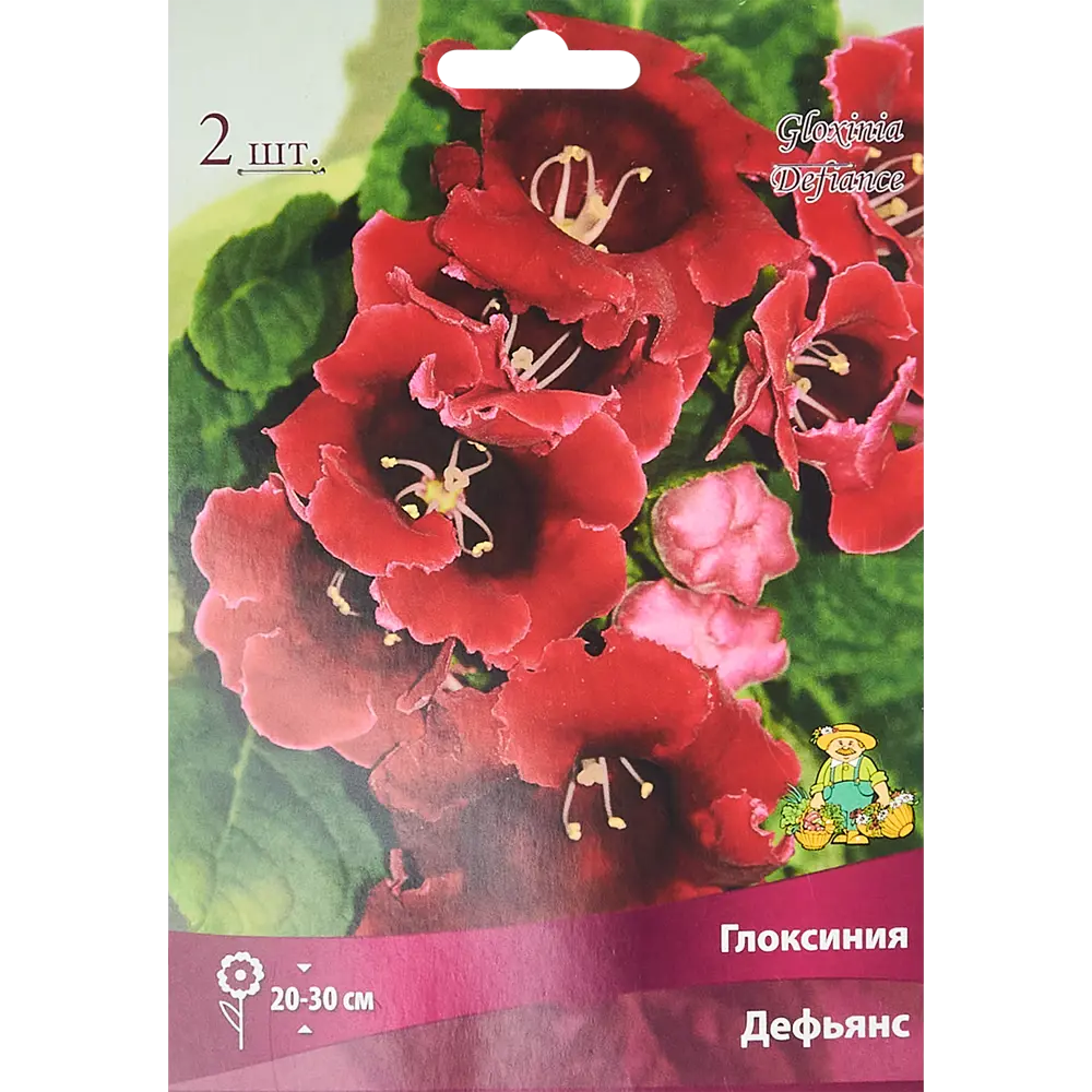Фото Глоксиния Дефьянс, 2 шт Фото Глоксиния Дефьянс, 2 шт