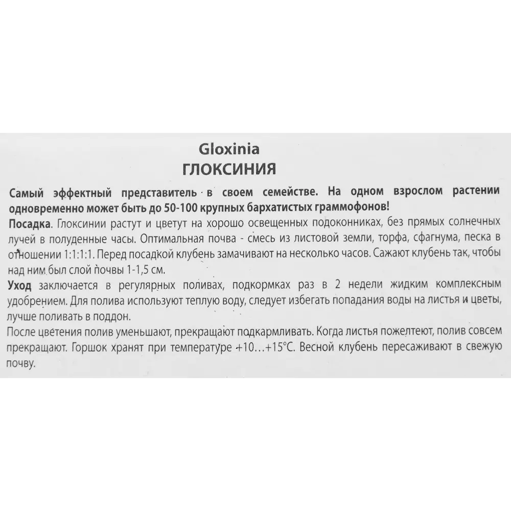 Фото 3 Глоксиния Дефьянс, 2 шт Фото 3 Глоксиния Дефьянс, 2 шт