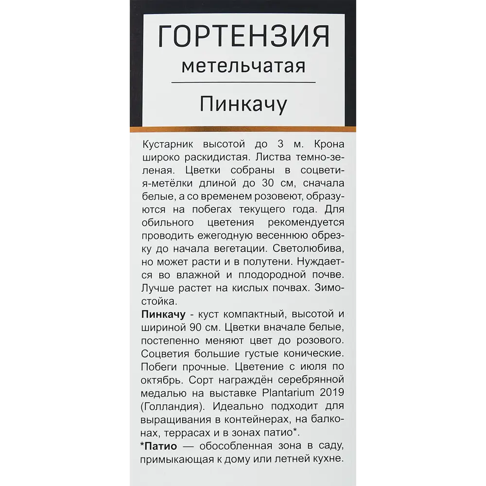 Фото 3 Гортензия метельчатая Пинкачу h100 см Фото 3 Гортензия метельчатая Пинкачу h100 см