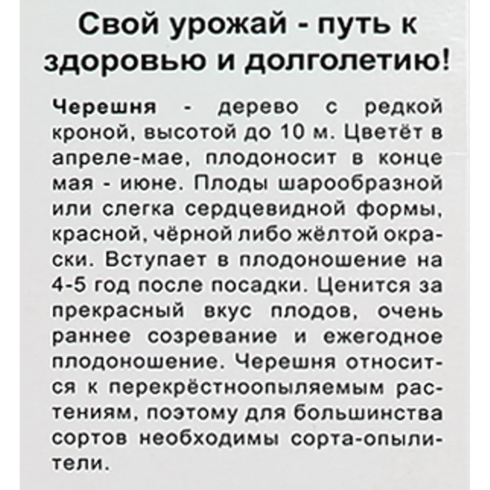 Фото 5 Черешня Садко коробка h90 см Фото 5 Черешня Садко коробка h90 см
