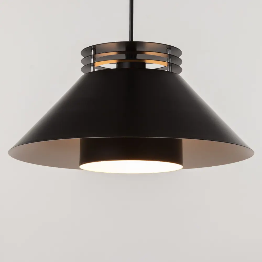 Фото 3 Светильник подвесной BAYERLUX 7586389 Румба 1 лампа 2 м² цвет черный Фото 3 Светильник подвесной BAYERLUX 7586389 Румба 1 лампа 2 м² цвет черный