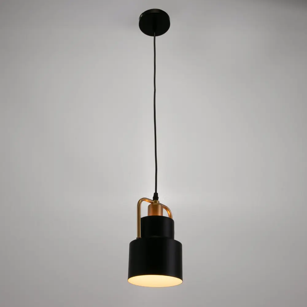 Фото 2 Светильник подвесной BAYERLUX 1657 1 лампа 2 м² цвет черный Фото 2 Светильник подвесной BAYERLUX 1657 1 лампа 2 м² цвет черный