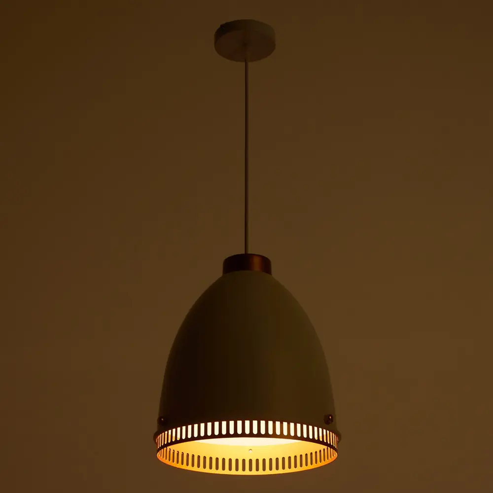 Фото 3 Светильник подвесной BAYERLUX 1658 1 лампа 2 м² цвет белый