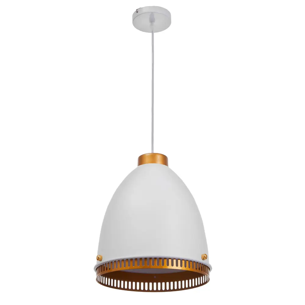 Фото Светильник подвесной BAYERLUX 1658 1 лампа 2 м² цвет белый