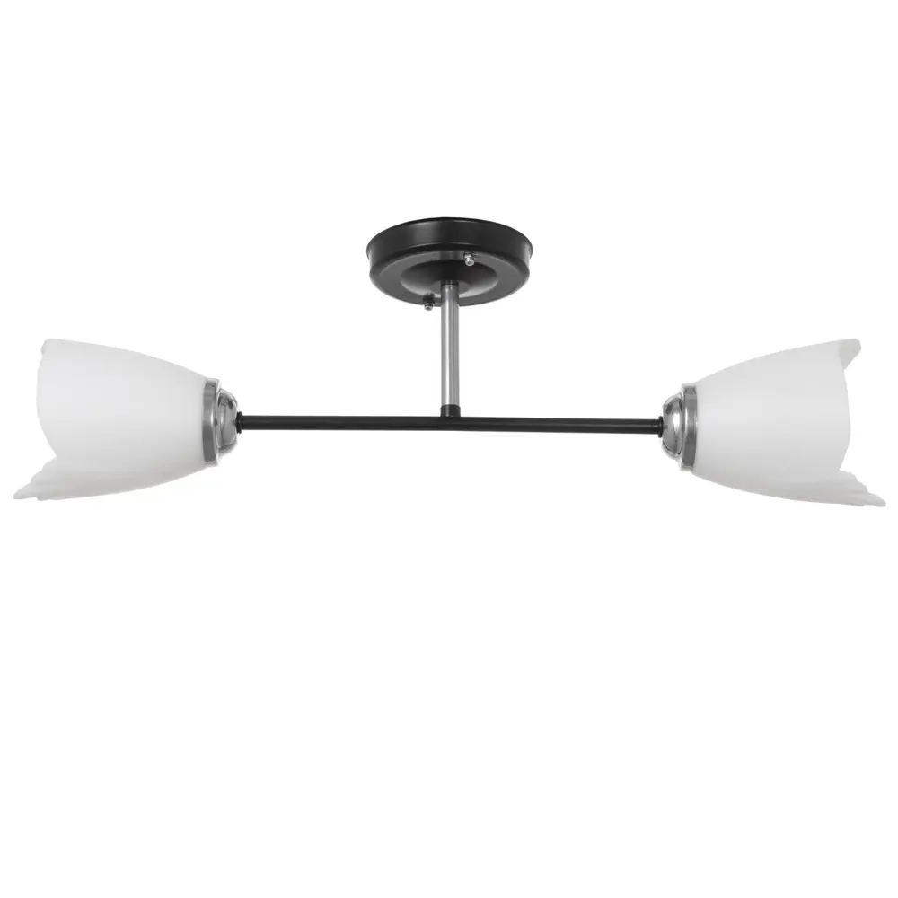 Фото Люстра потолочная BAYERLUX 9049713 2 лампы 6 м² цвет черный