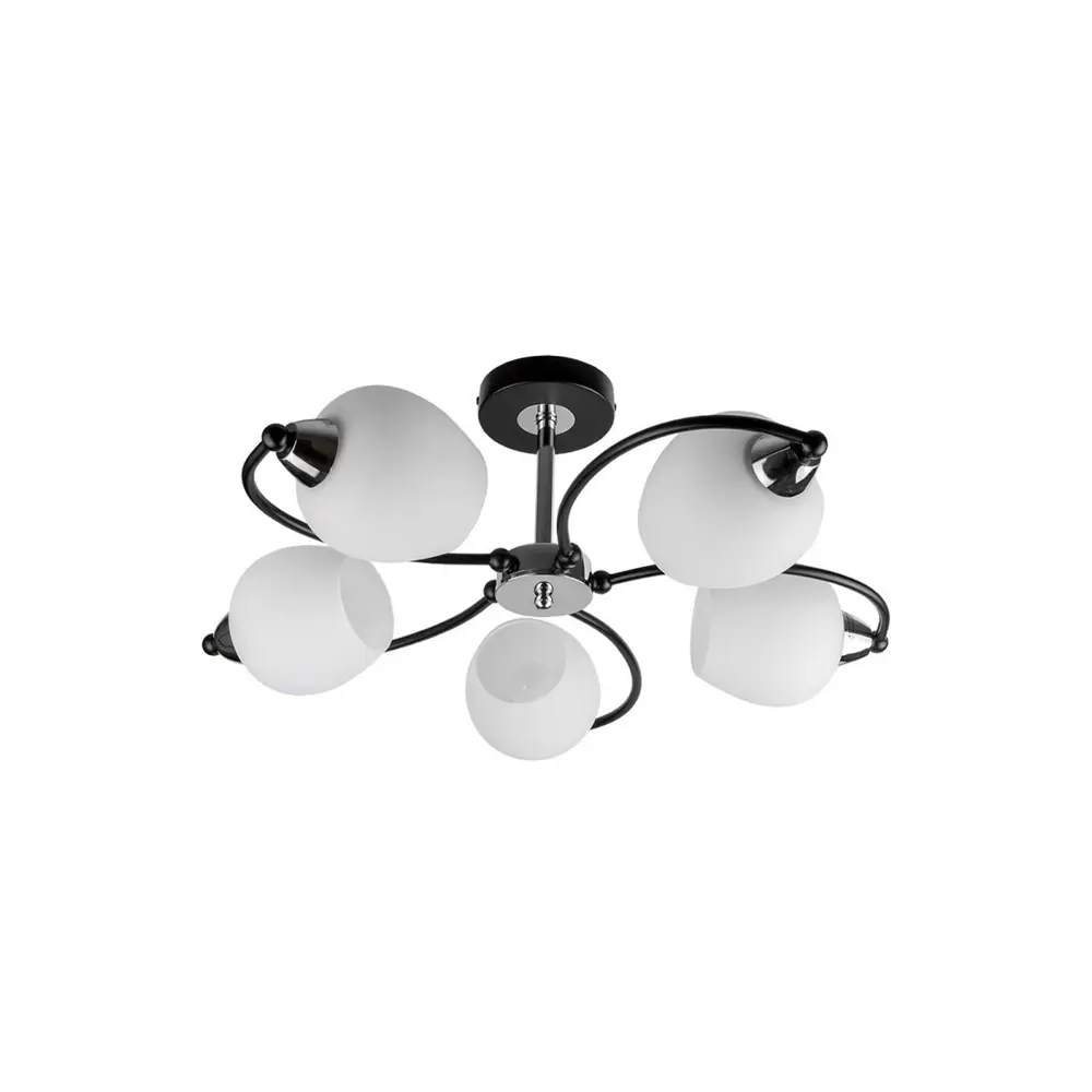 Фото Люстра потолочная TOPLIGHT TL2770X-05WC Katerina 5 ламп 10 м² цвет хром Фото Люстра потолочная TOPLIGHT TL2770X-05WC Katerina 5 ламп 10 м² цвет хром