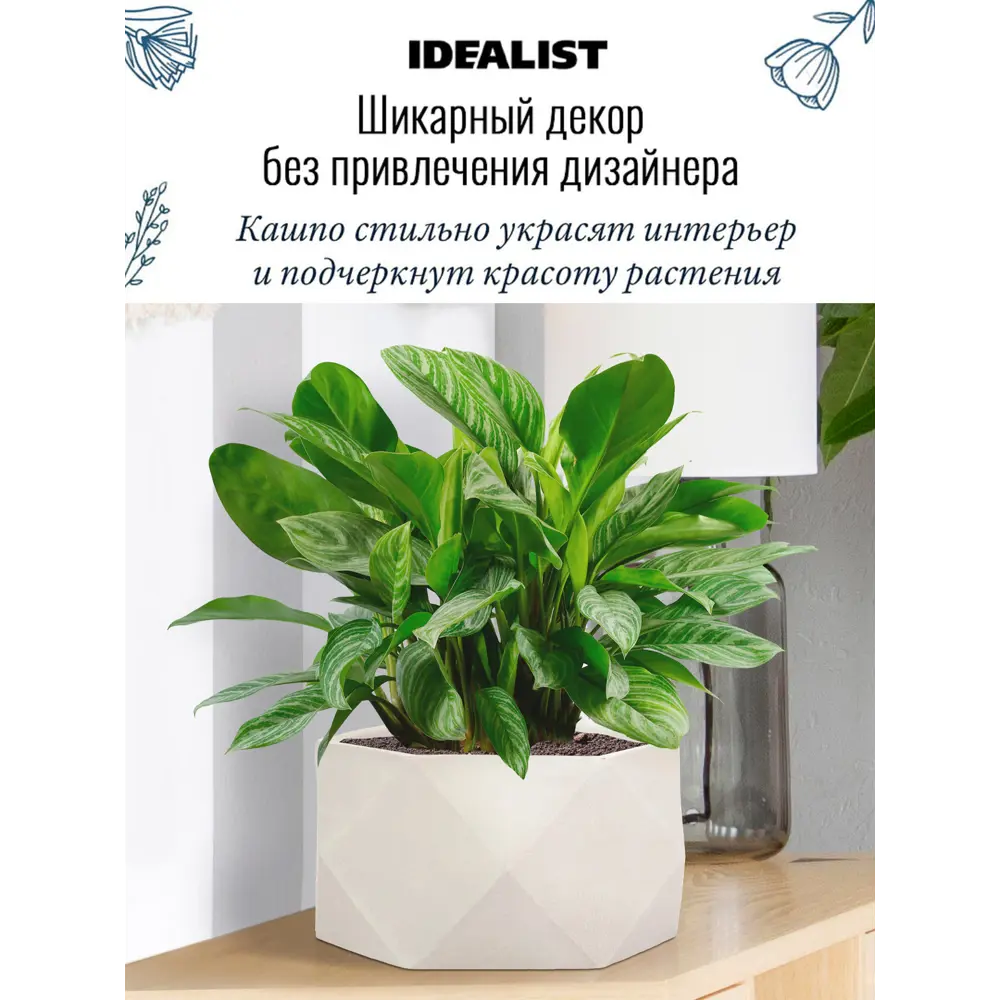 Фото 2 Настольное кашпо для цветов Idealist Lite Геометри слоновая кость 30x30x15 см 10 л Фото 2 Настольное кашпо для цветов Idealist Lite Геометри слоновая кость 30x30x15 см 10 л