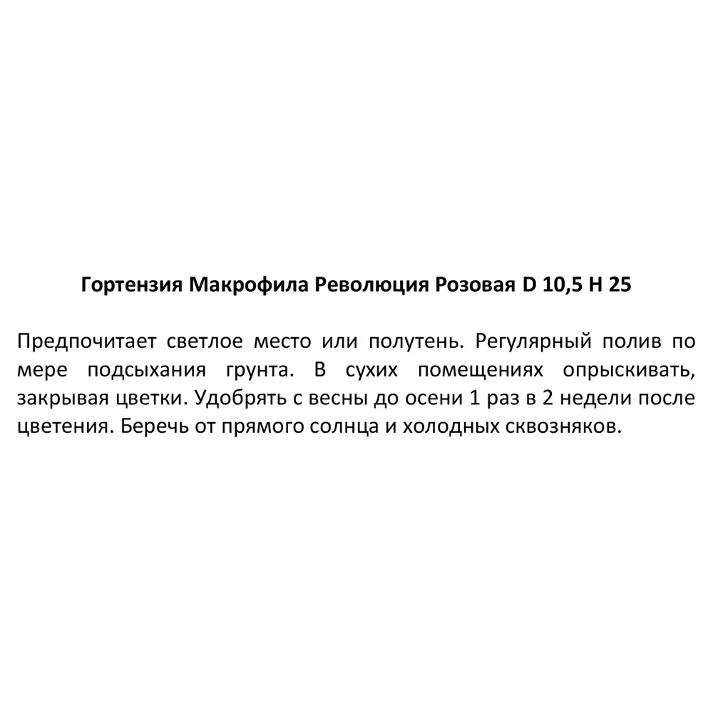Фото 6 Гортензия Макрофила Революция розовая ø10.5 h25 см Фото 6 Гортензия Макрофила Революция розовая ø10.5 h25 см