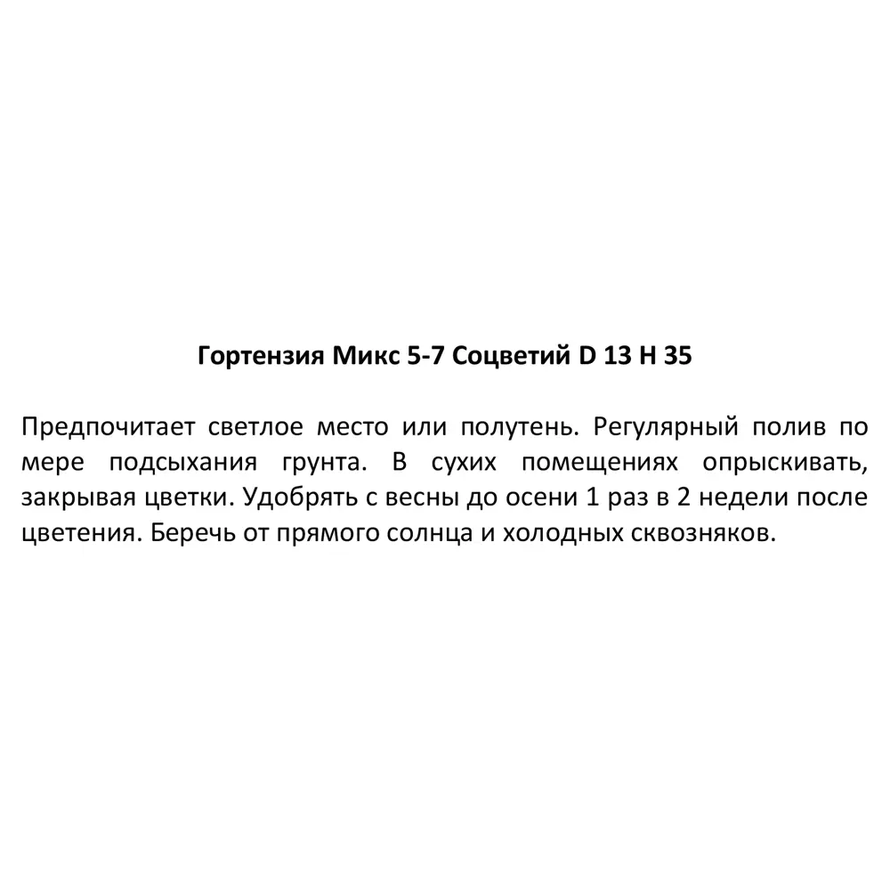 Фото 5 Гортензия микс ø13 h35 см Фото 5 Гортензия микс ø13 h35 см