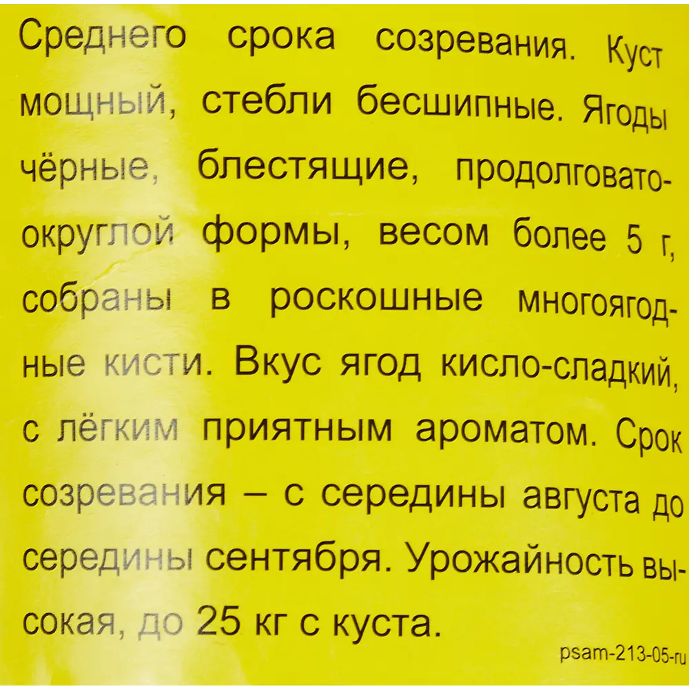 Фото 3 Ежевика Блэк сатин h40 см Фото 3 Ежевика Блэк сатин h40 см