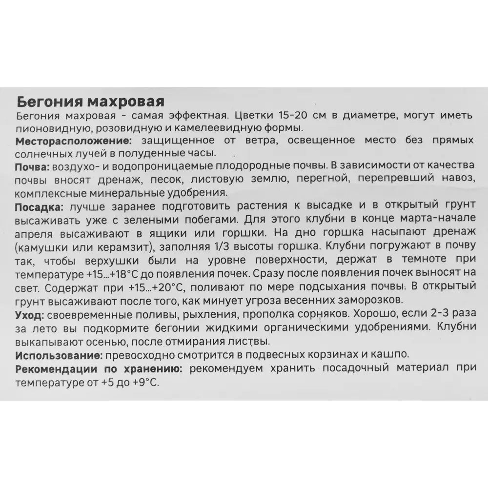 Фото 4 Бегония махровая смесь окрасок Geolia 3 шт Фото 4 Бегония махровая смесь окрасок Geolia 3 шт