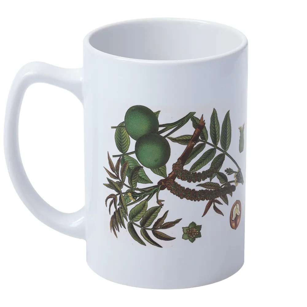 Фото 3 Кружка 400 мл Molti Грецкий орех фарфор цвет белый 7362.60