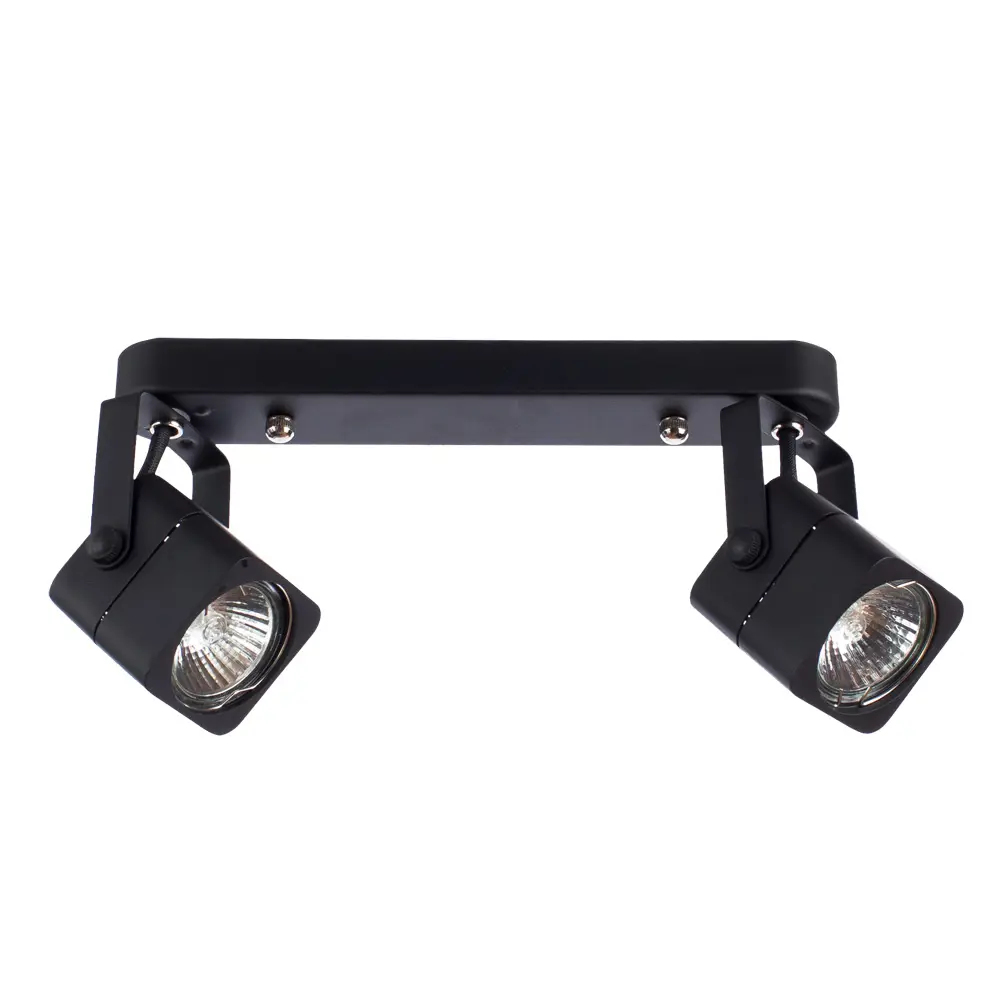 Фото Спот поворотный ARTE LAMP A1314PL-2BK Lente Black 2 лампы 3 м² цвет черный Фото Спот поворотный ARTE LAMP A1314PL-2BK Lente Black 2 лампы 3 м² цвет черный